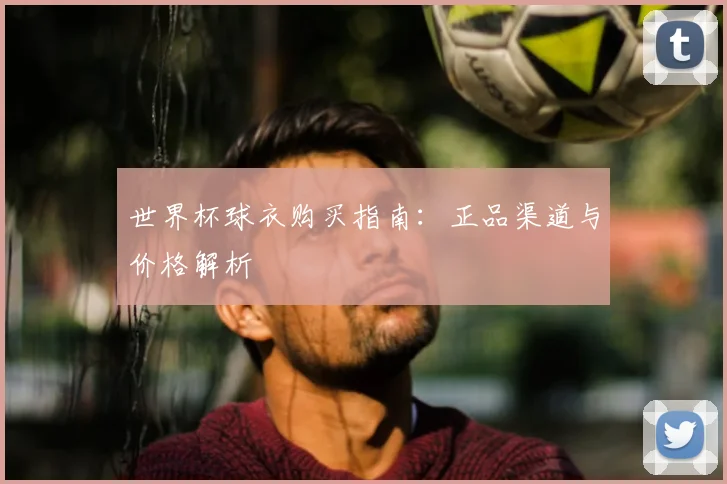 世界杯球衣购买指南：正品渠道与价格解析