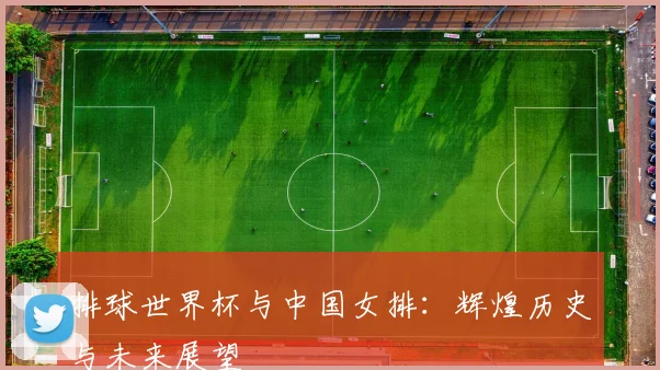 排球世界杯与中国女排：辉煌历史与未来展望