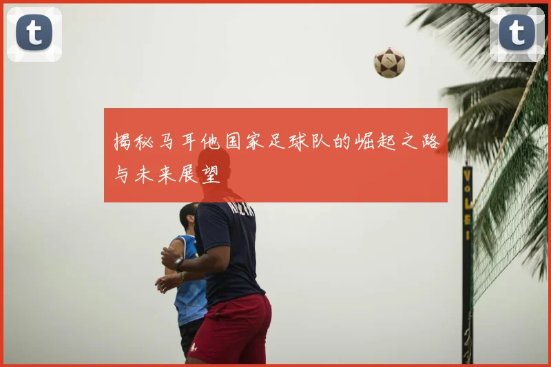 揭秘马耳他国家足球队的崛起之路与未来展望