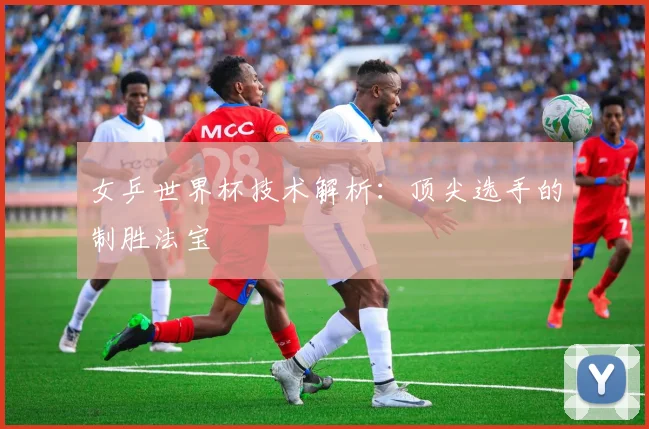 女乒世界杯技术解析：顶尖选手的制胜法宝